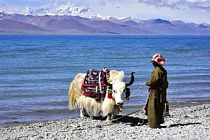 总要在夏天去一次西藏吧！